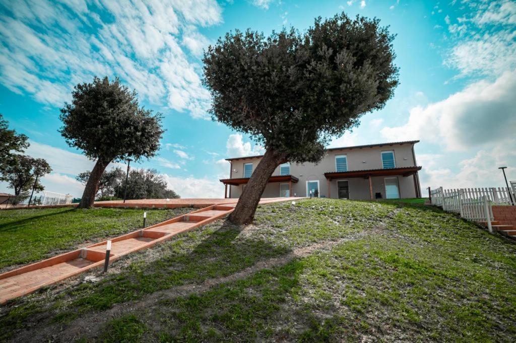 Agriturismo Il Colle Dei Lecci 안코나 외부 사진